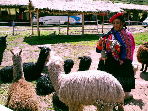 Mulher Peruana Um pouco sobre as mulheres do mundo...