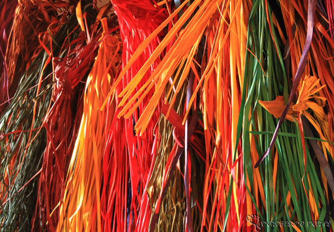 Folhas de Carnaúba tingidas para artesanato e feitura de cestos