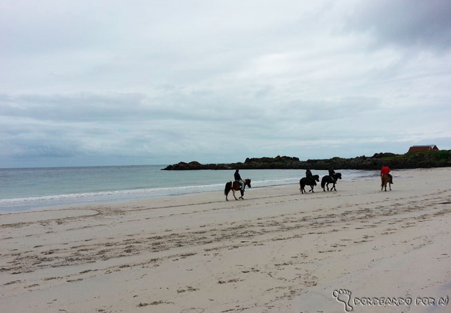 cavalgada_praia_lofoten_noruega