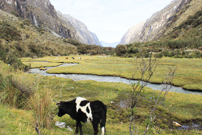 Valle Huaraz