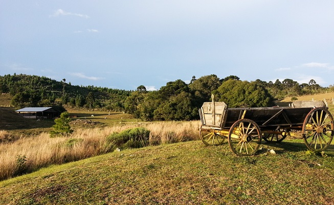 Aparados_da_Serra_com_Crianças28