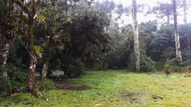 Aparados_da_Serra_com_Crianças9