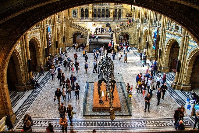 Natural_History_Museum2